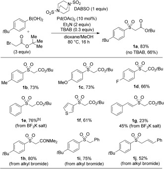 Scheme 2