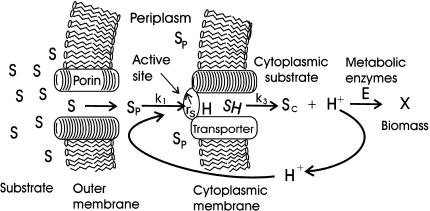 FIG. 1.