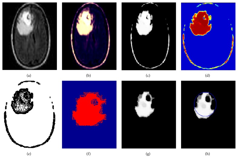 Figure 4