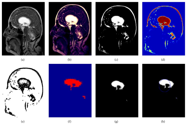 Figure 6