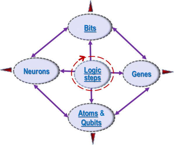 Fig. 12