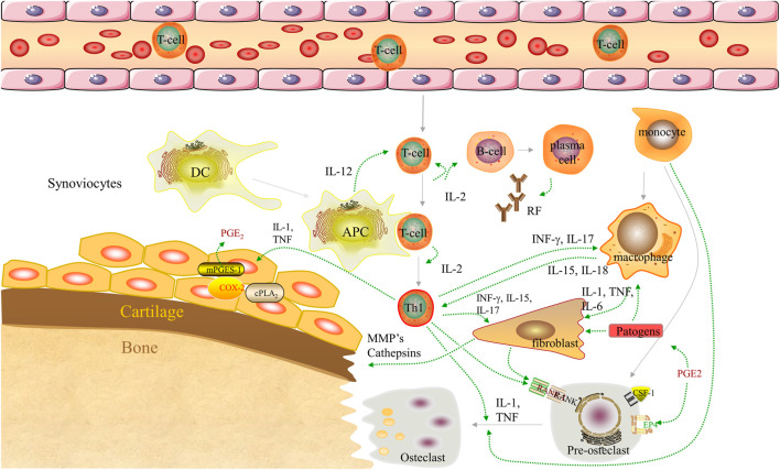 FIGURE 1