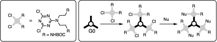 Scheme 4