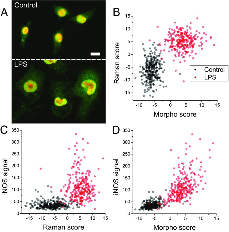 Fig. 4.