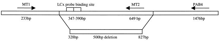 FIG. 1.