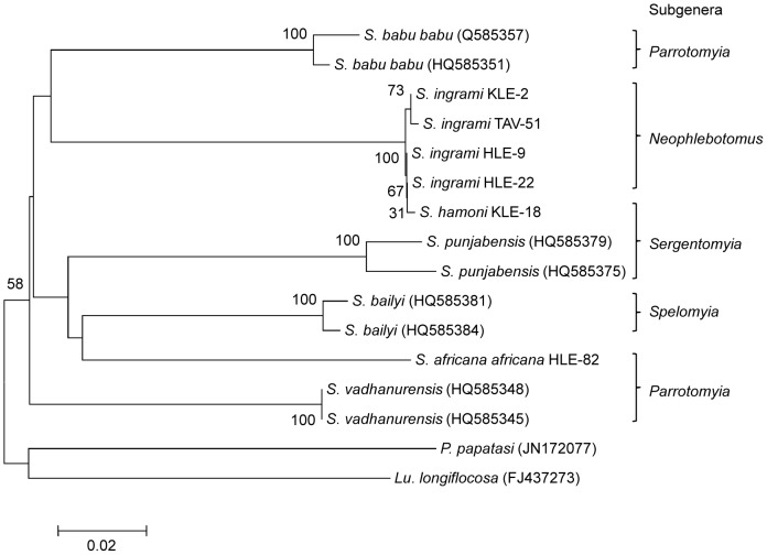 Figure 4