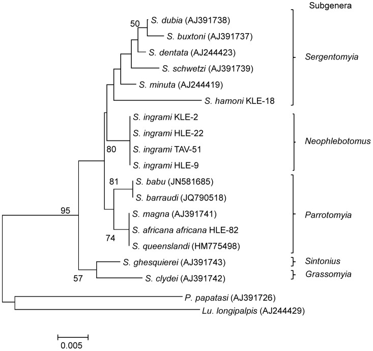 Figure 5