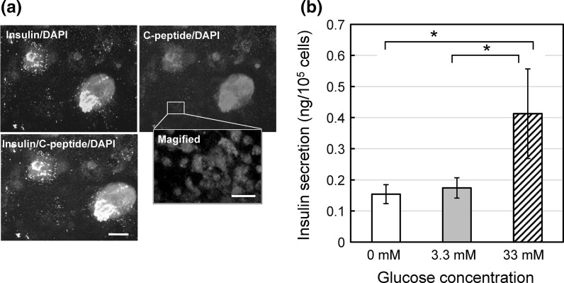 Fig. 4