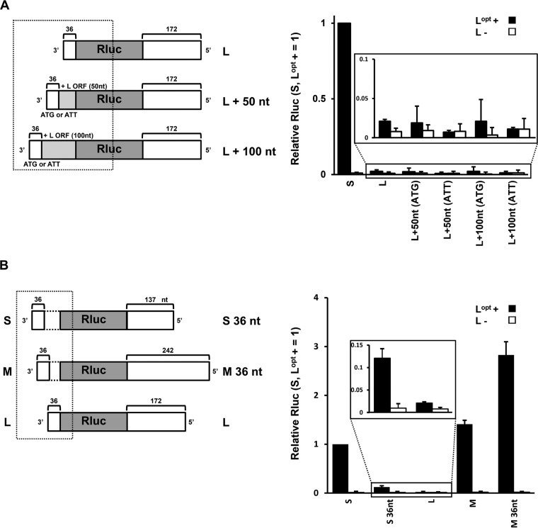 FIG 2