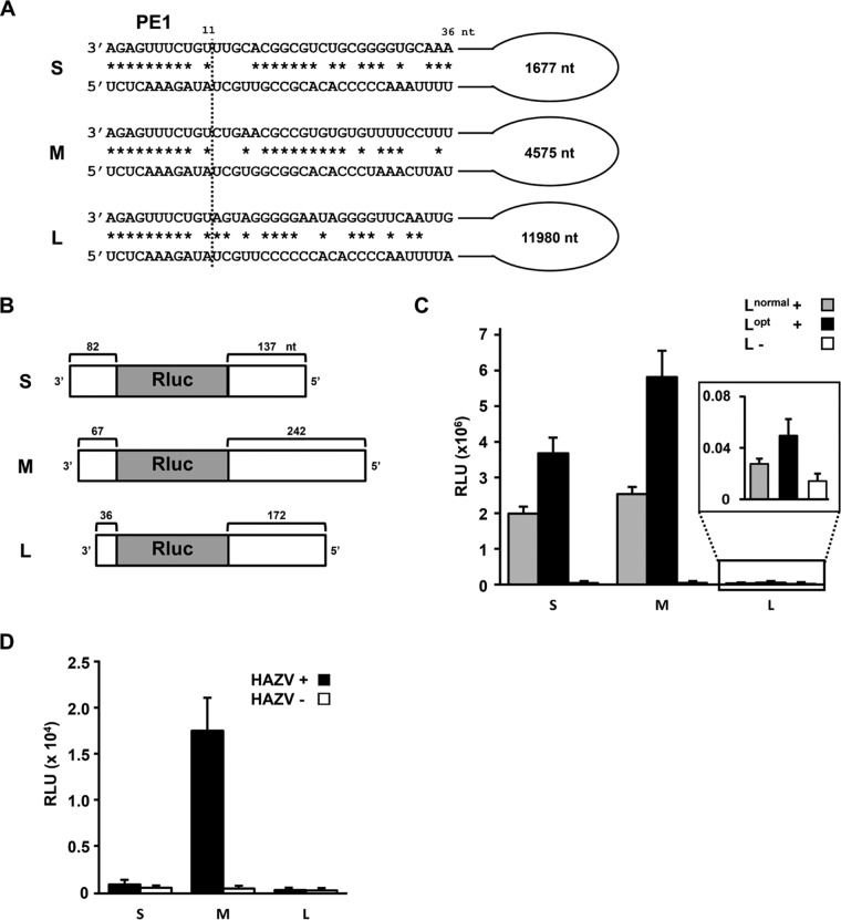 FIG 1