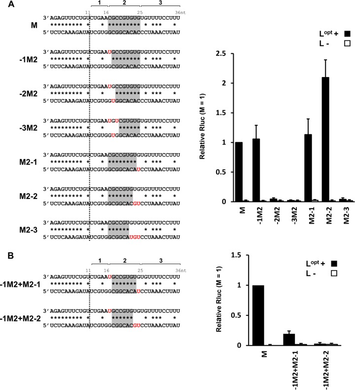 FIG 6