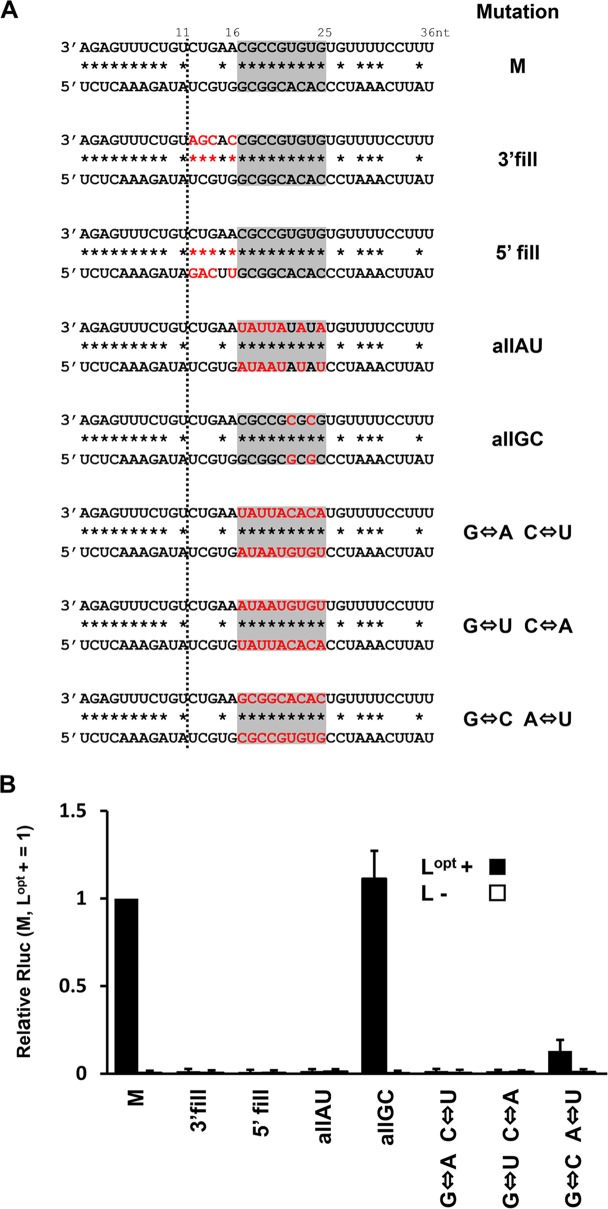 FIG 4