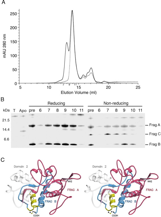 Figure 3.