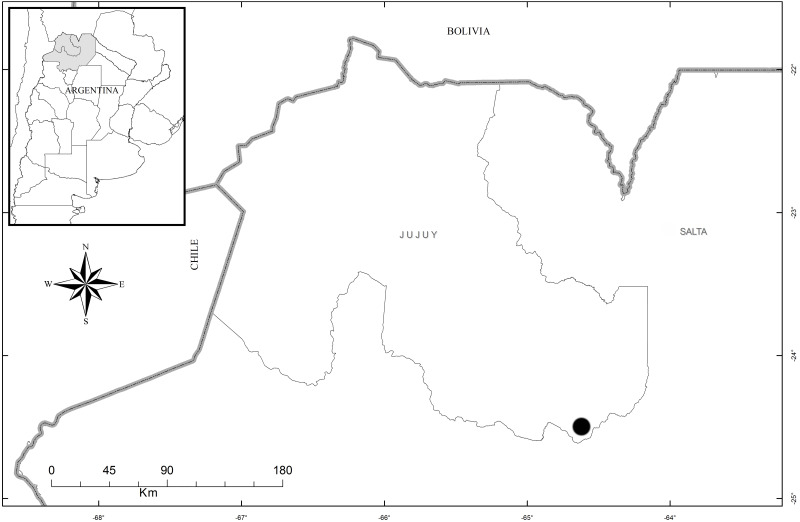 Figure 8