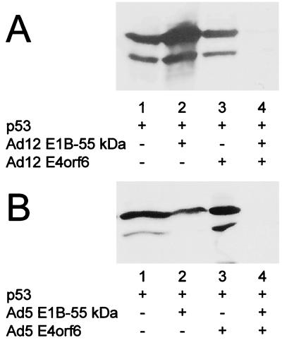 FIG. 9