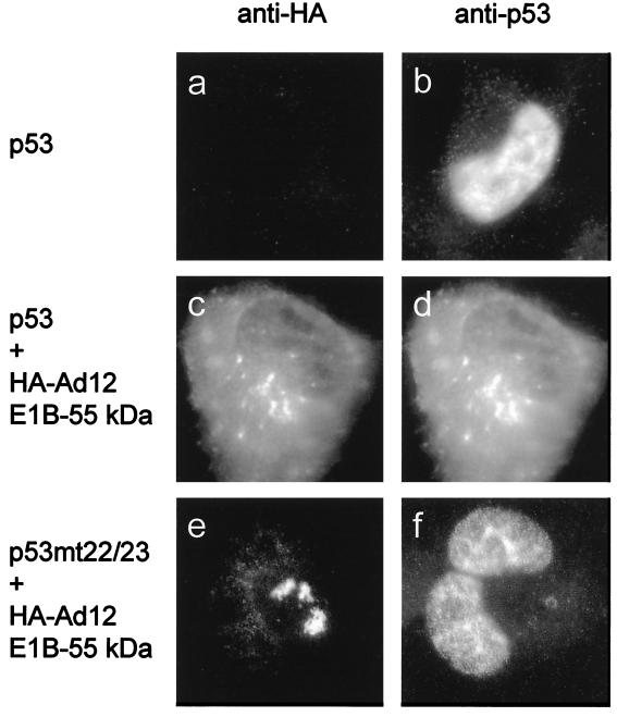 FIG. 6