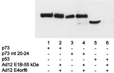 FIG. 10