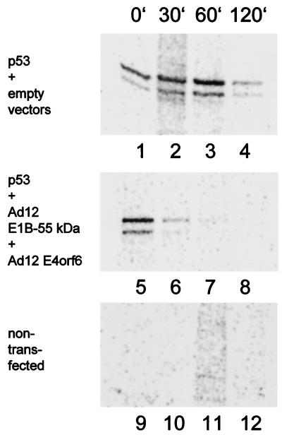 FIG. 8