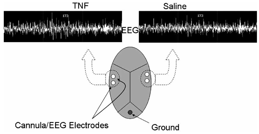 Fig. (3)