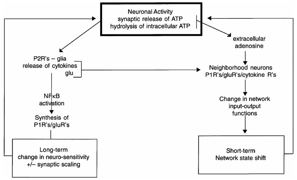 Fig. (4)