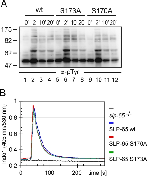 Fig. 8.