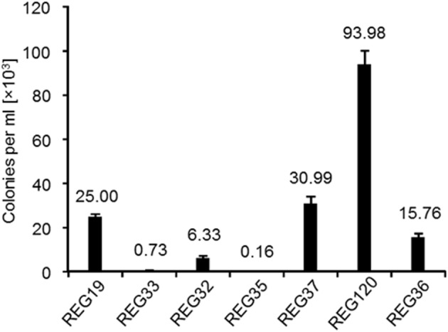 Figure 5