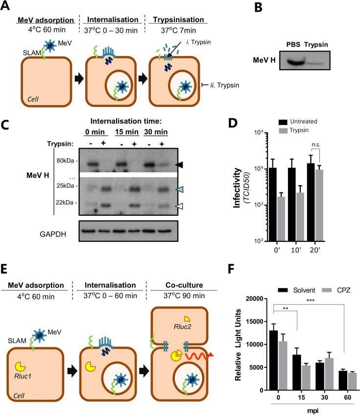 FIG 3