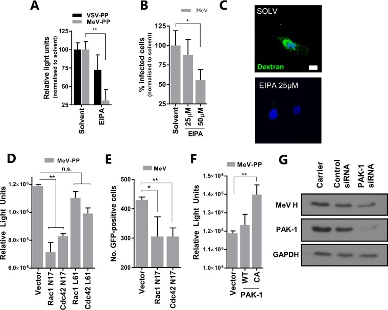 FIG 6