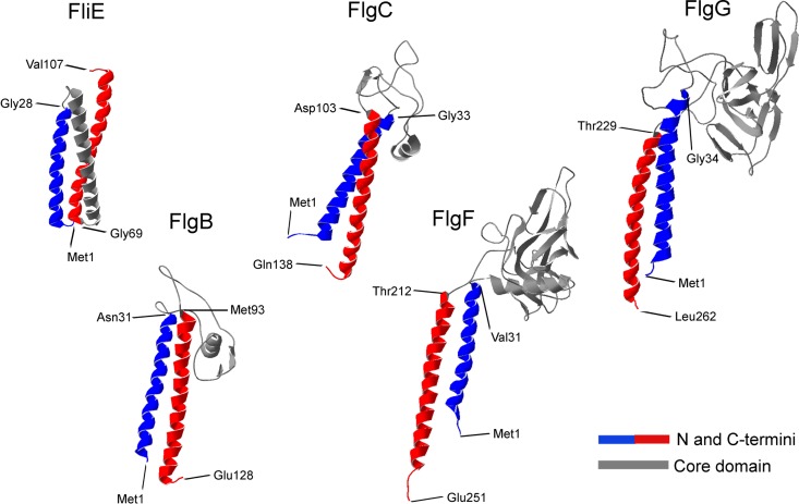 FIG 3