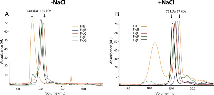 FIG 2