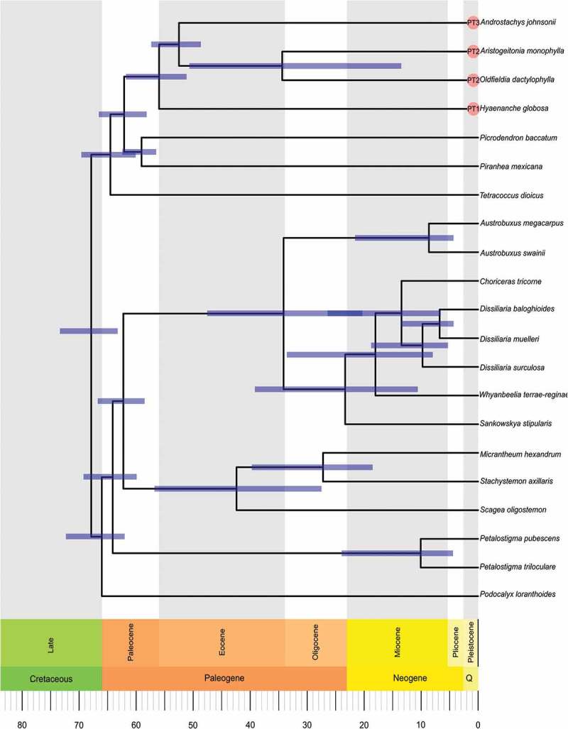 Figure 25.