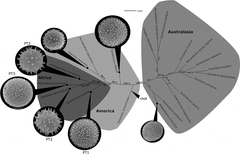 Figure 24.