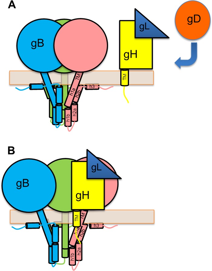 FIG 9