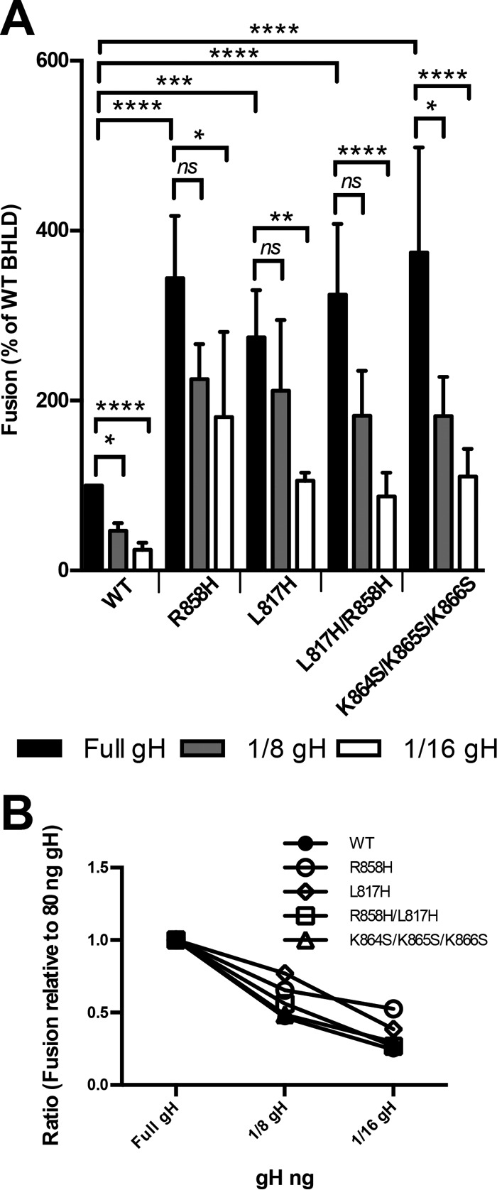 FIG 6