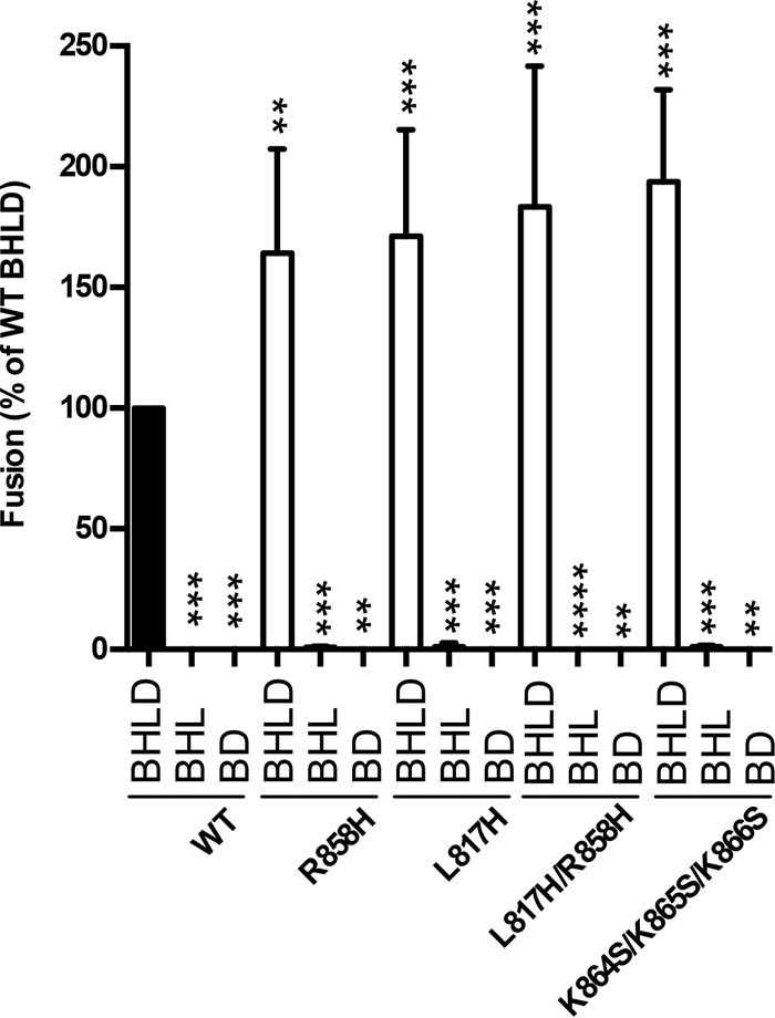 FIG 3