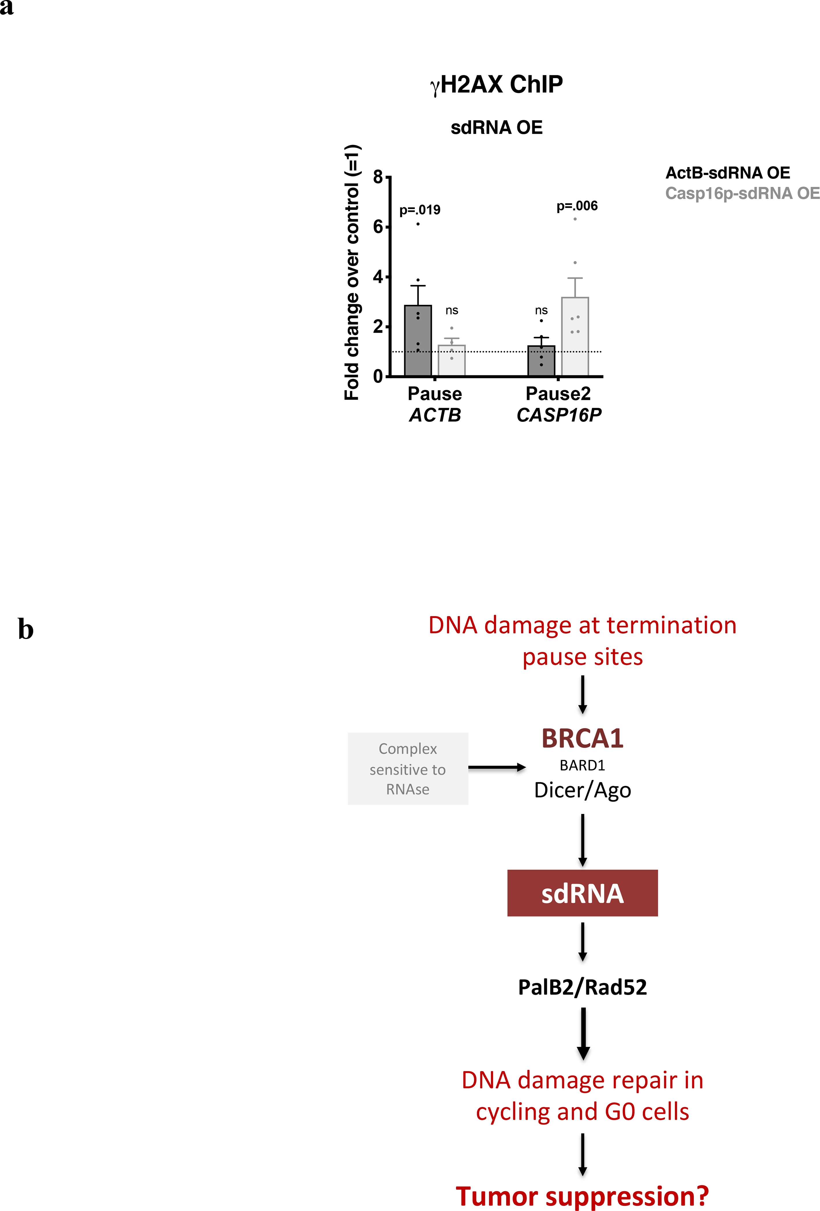 Extended Data Figure 10 |