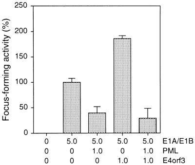 FIG. 7