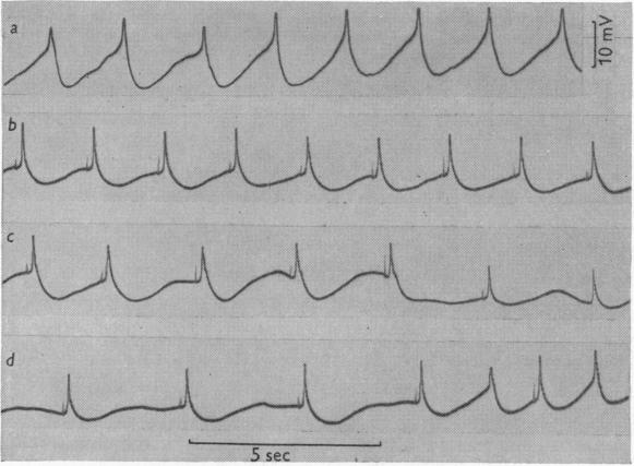 Fig. 16