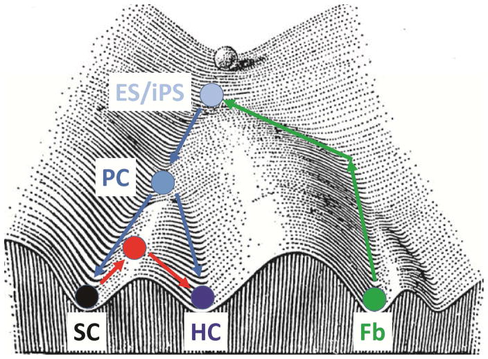 Fig. 3