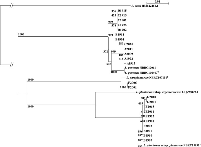 Fig. 3.