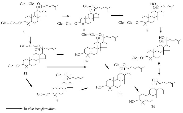 Figure 7