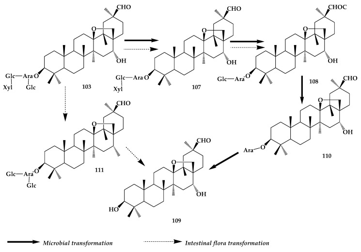 Figure 19