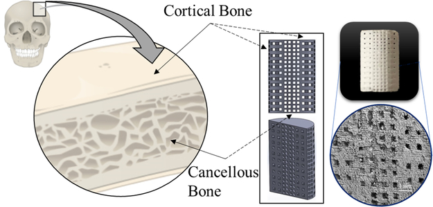 Figure 1.