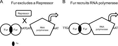 Fig 8