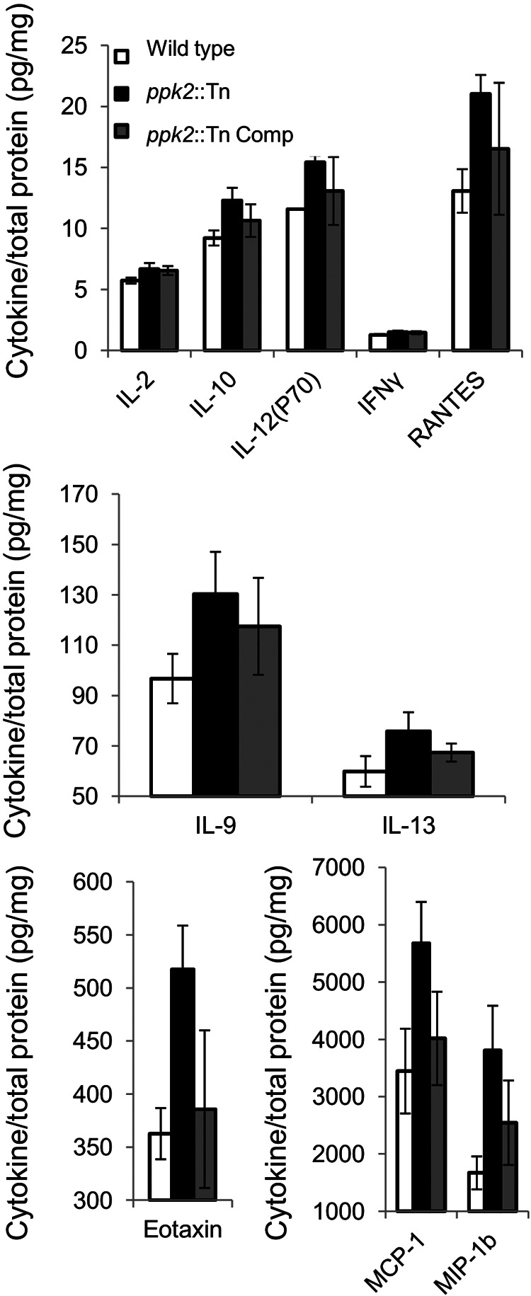 FIG 4 