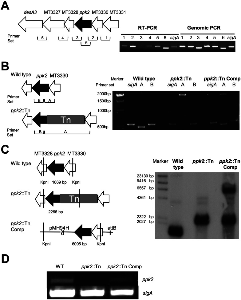 FIG 1 