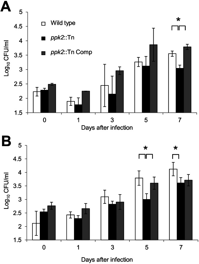 FIG 3 