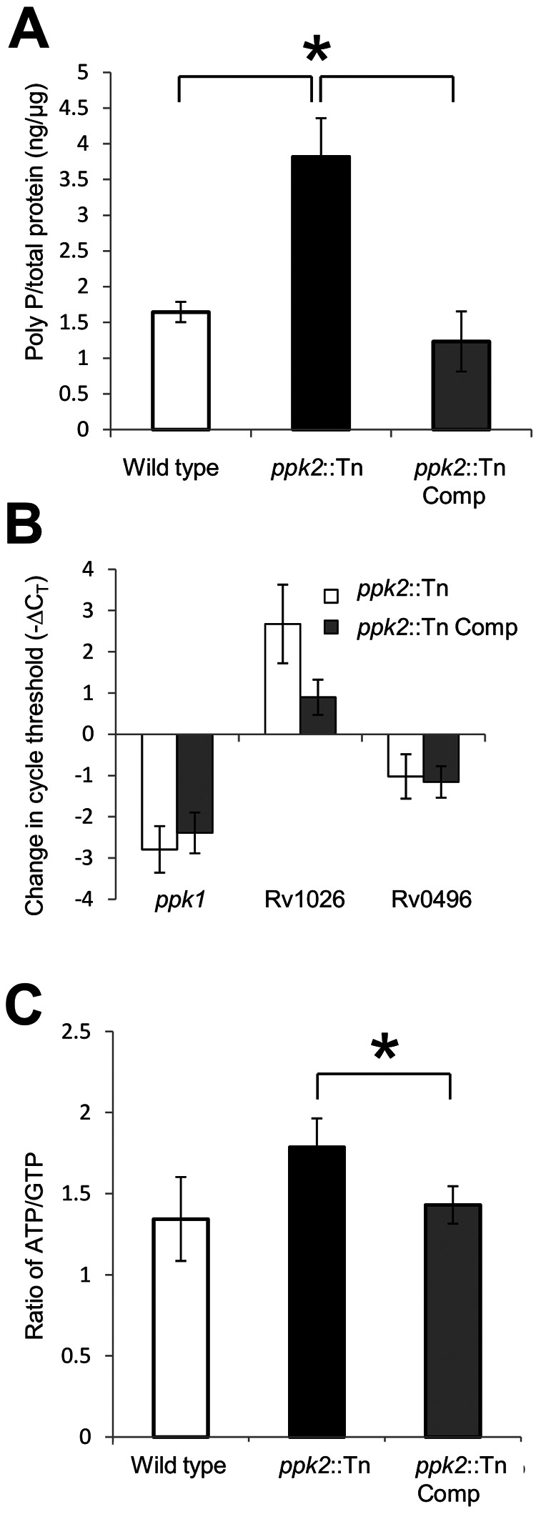 FIG 2 