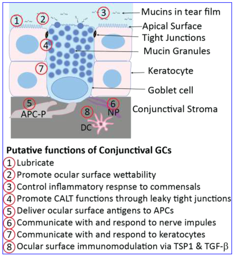 Figure 2.