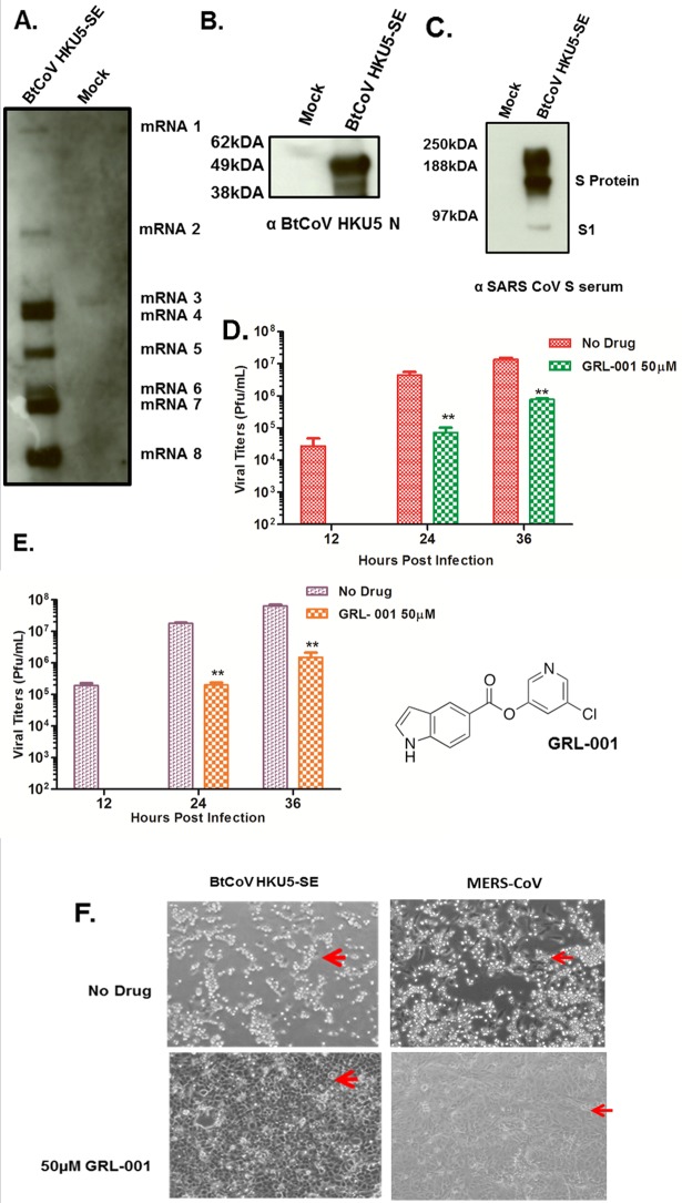 FIG 2 